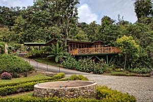 Quetzal Nationalpark Costa Rica