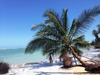 Beste Reisezeit für die Karibikküste Costa Ricas