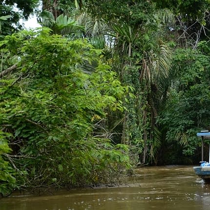 Costa Rica Rundreise 14 Tage - Best of Costa Rica - Bootsfahrt im Regenwald