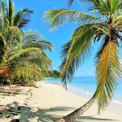 Die beste Costa Rica Reisezeit - Karibikküste & Pazifikküste