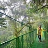 Tag 9 Hängebrücke Monteverde