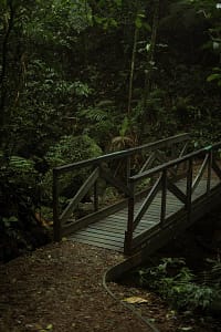 Naturreservat Monteverde