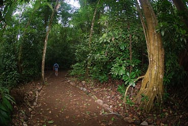21 Tage Costa Rica Rundreise in den Nationalpark Carara