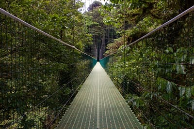 Nebelwald Monteverde - Costa Rica Sehenswürdigkeiten