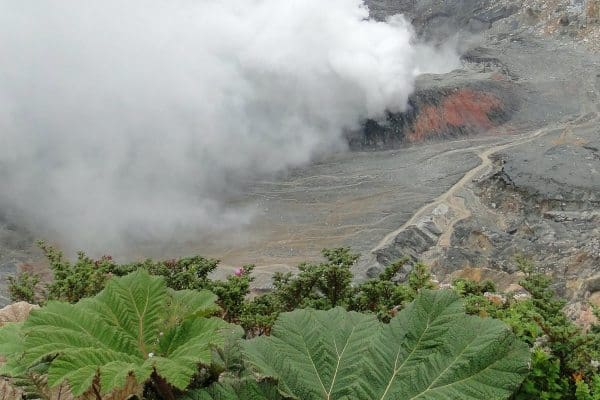 Irazu vulkan Nationalpark(7)