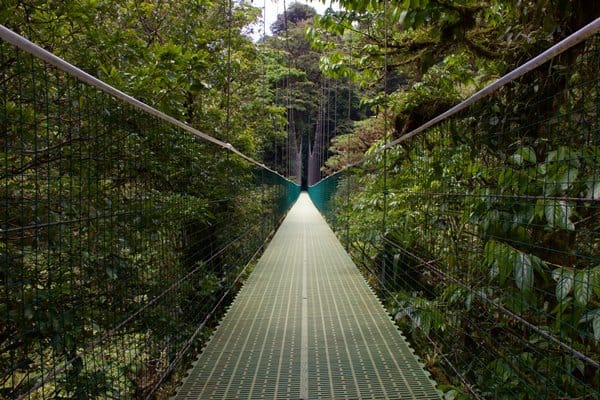 Naturreservat Monteverde (3)