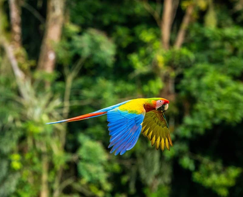 Costa Rica Nationalparks